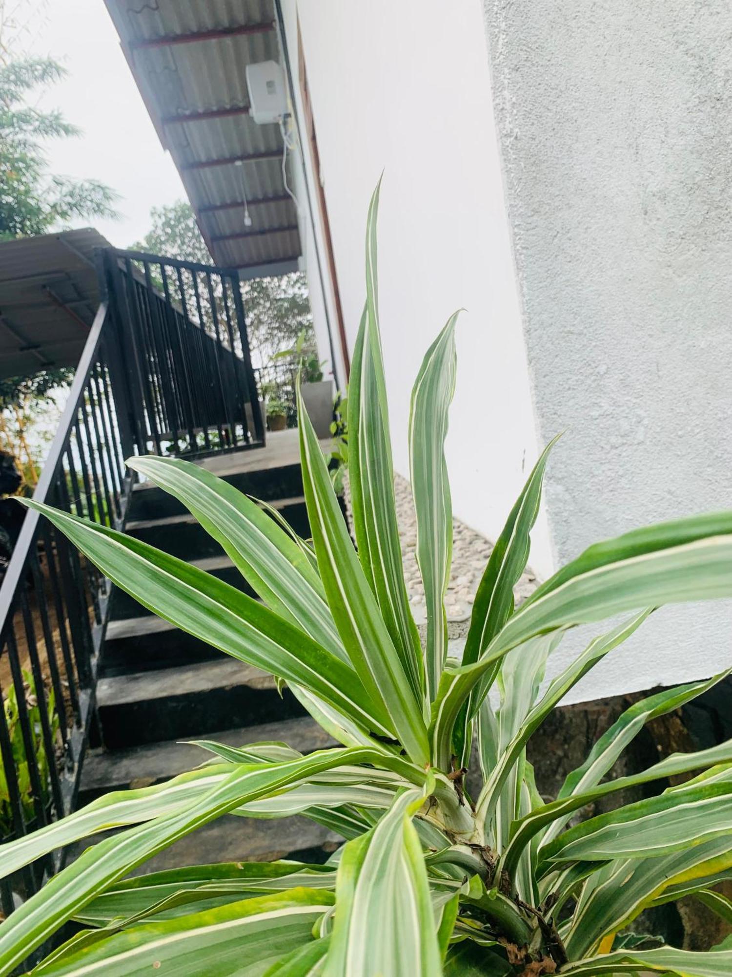 Broad View Apartment Ella Ngoại thất bức ảnh