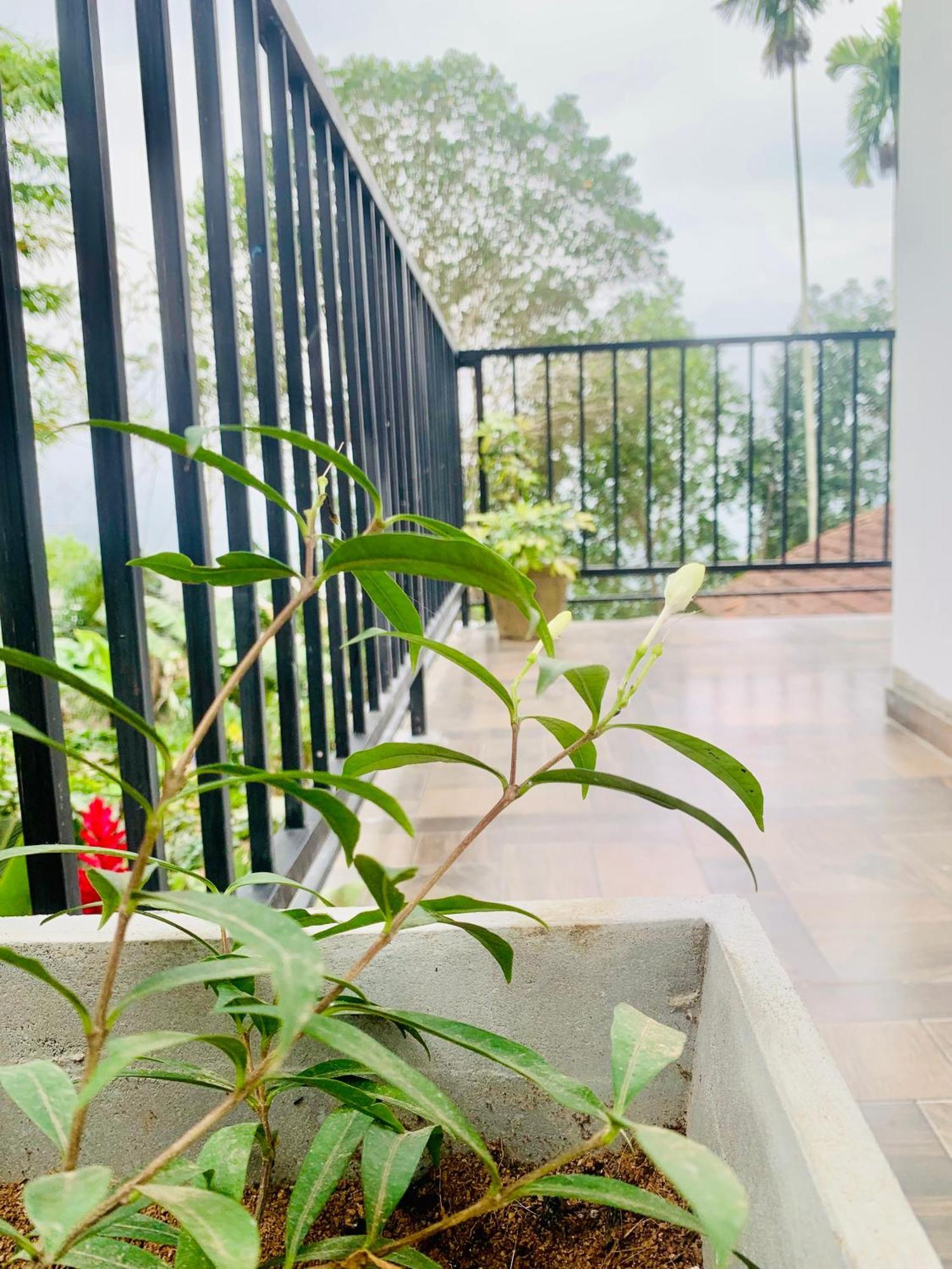 Broad View Apartment Ella Ngoại thất bức ảnh