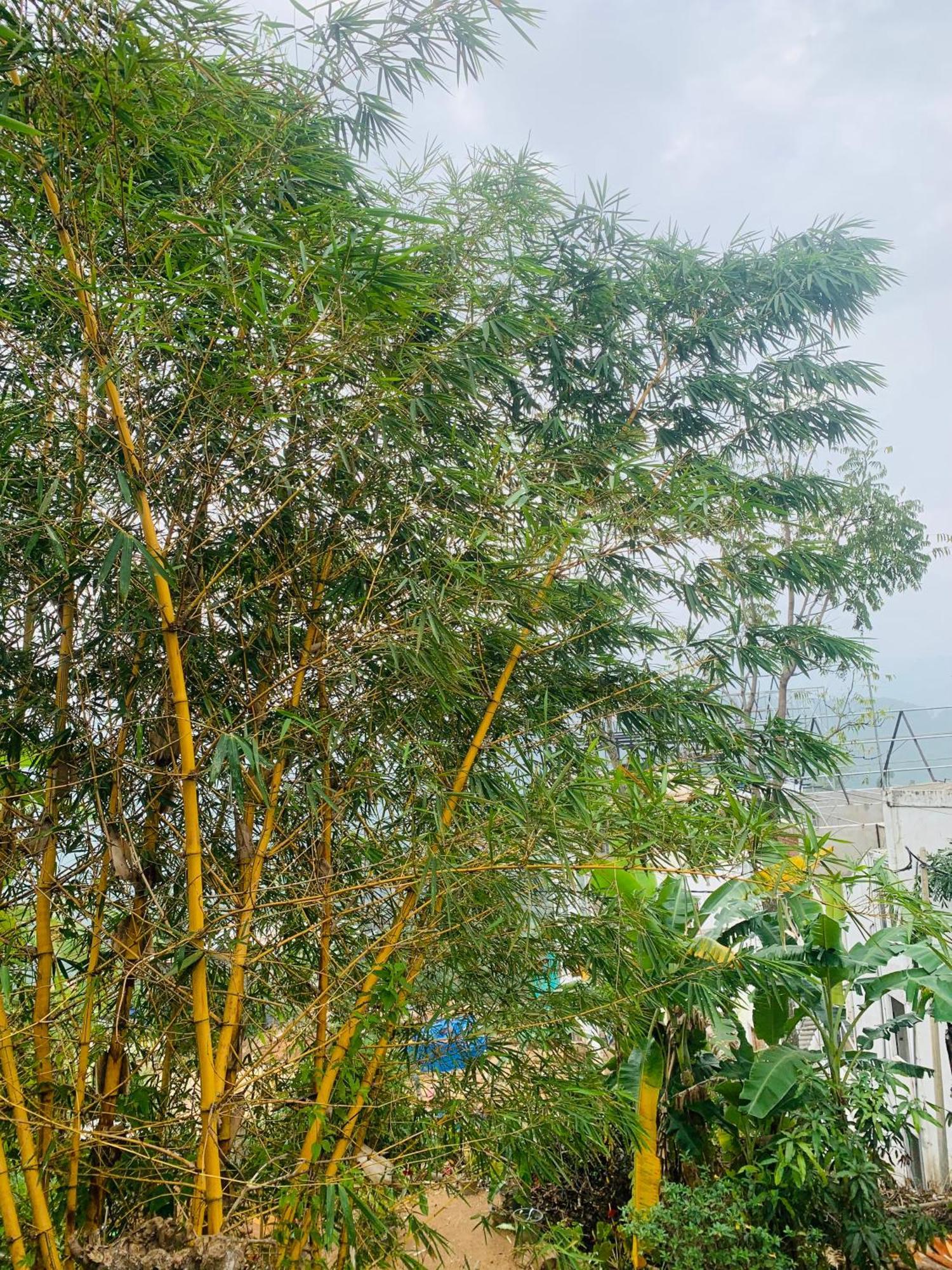 Broad View Apartment Ella Ngoại thất bức ảnh