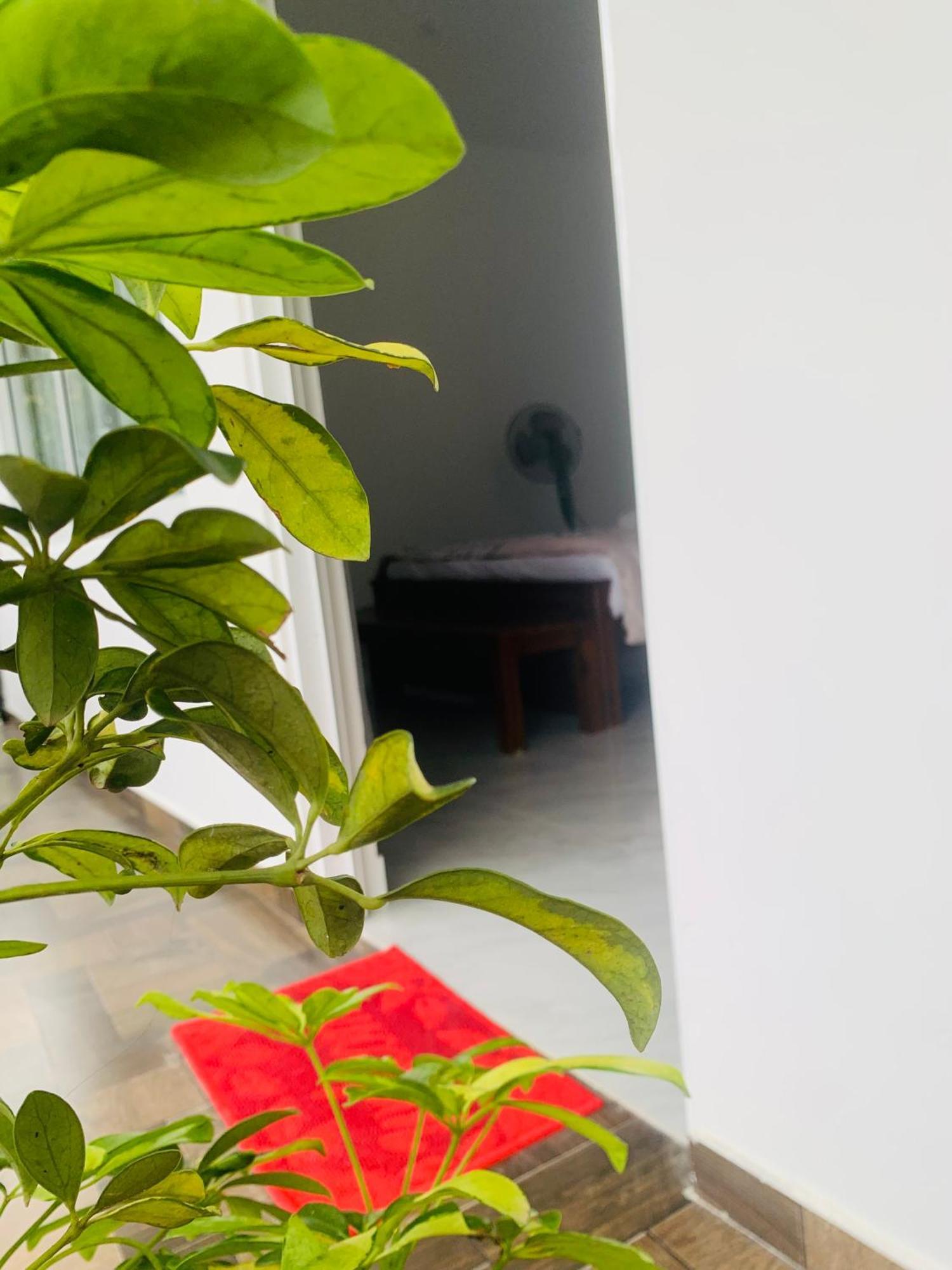 Broad View Apartment Ella Ngoại thất bức ảnh