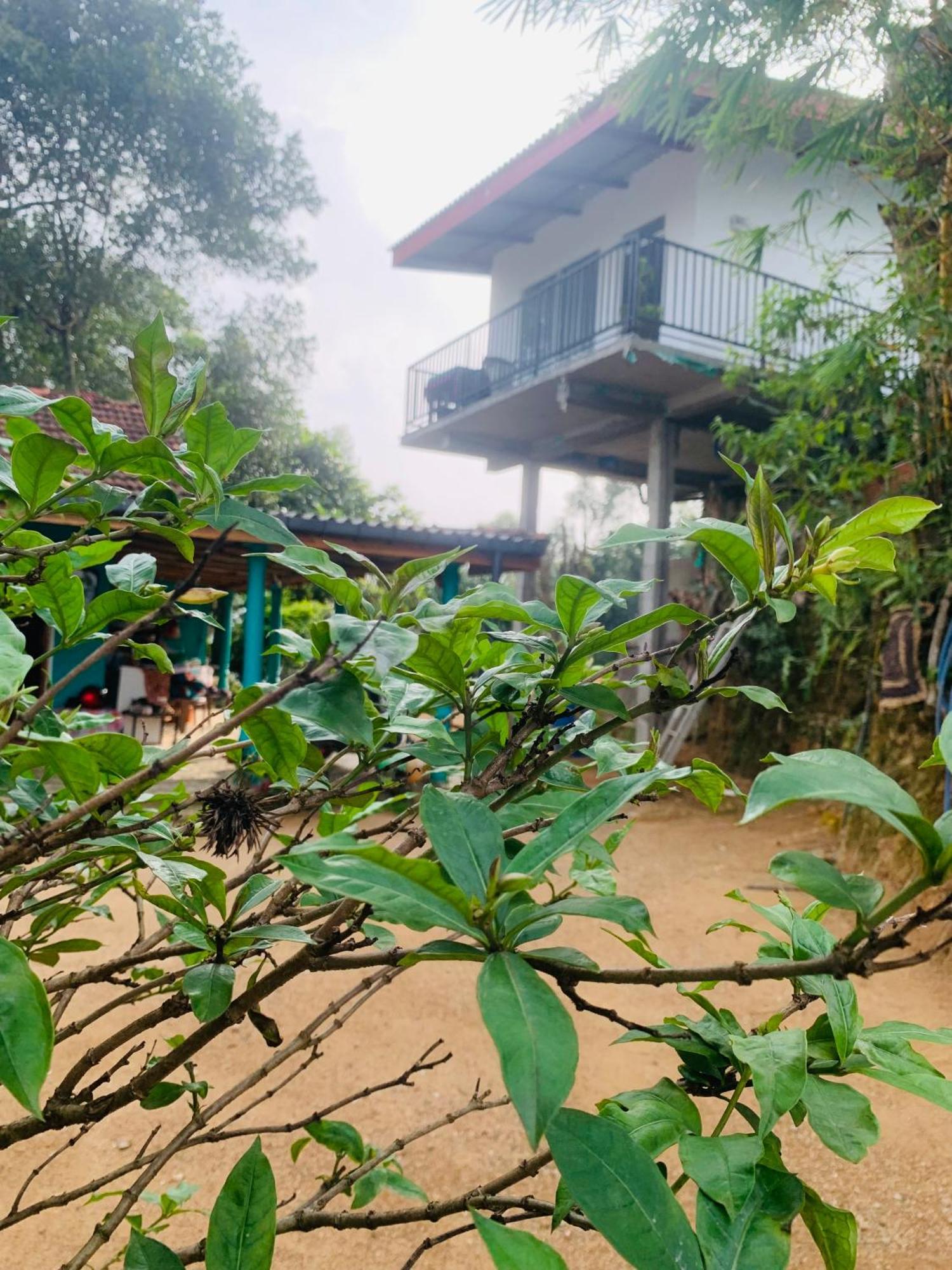 Broad View Apartment Ella Ngoại thất bức ảnh